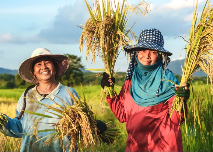 pt agropedia indonesia